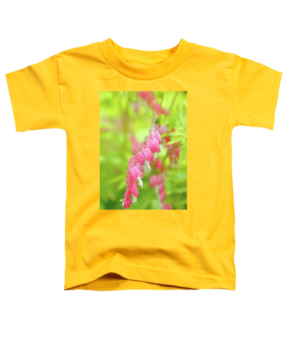 Plant Toddler T-Shirt featuring the photograph Oh My Bleeding Heart by Lens Art Photography By Larry Trager