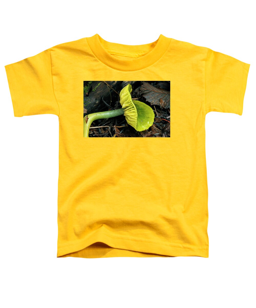 Fungi Toddler T-Shirt featuring the photograph Parrot Toadstool or Parrot Waxcap, Hygrocybe psittacina by Kevin Oke