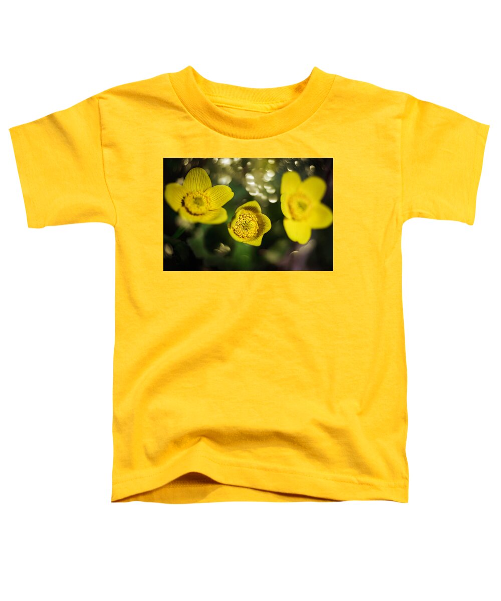  Toddler T-Shirt featuring the photograph Sping Sunnies by Nicole Engstrom