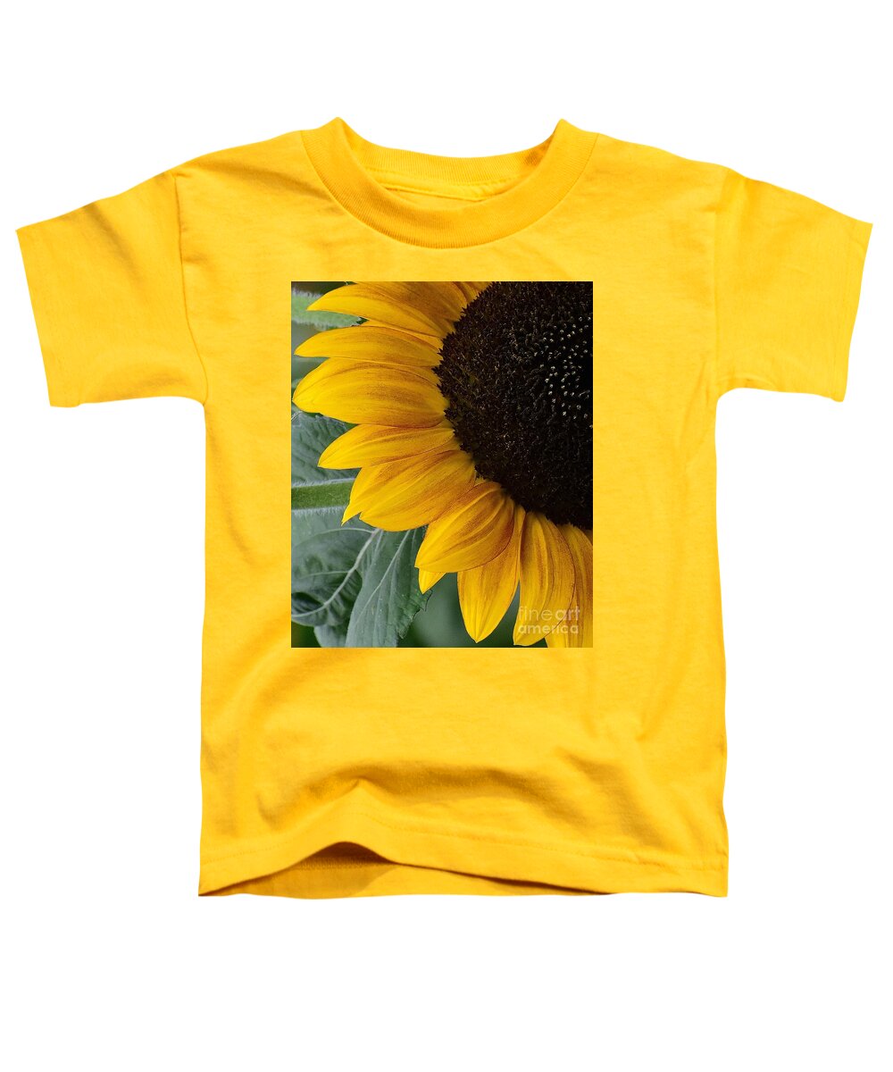 Flowers Toddler T-Shirt featuring the photograph Sunflower Sensations by Jimmy Chuck Smith