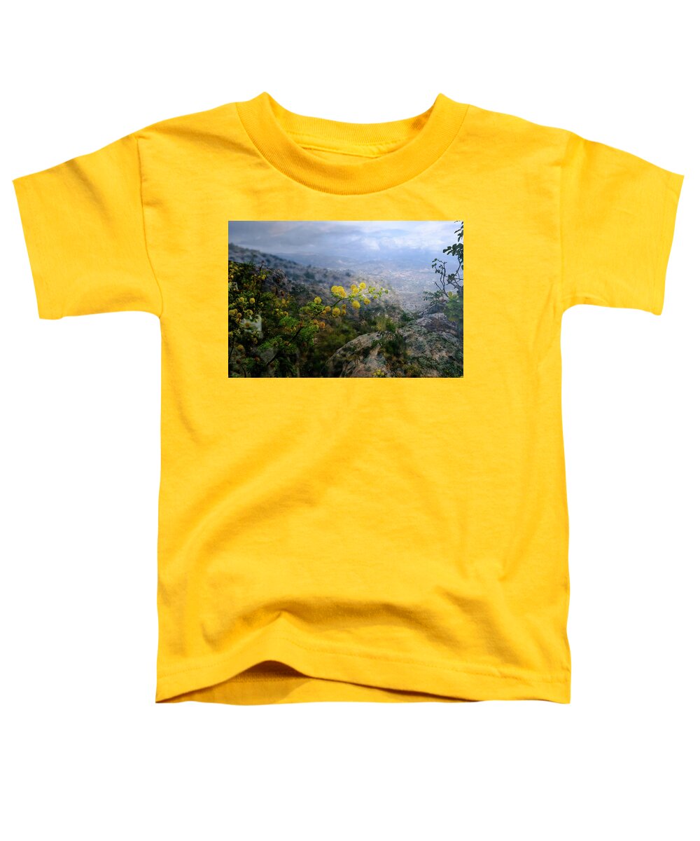 Andalucía Toddler T-Shirt featuring the photograph The Dream II by Gary Browne