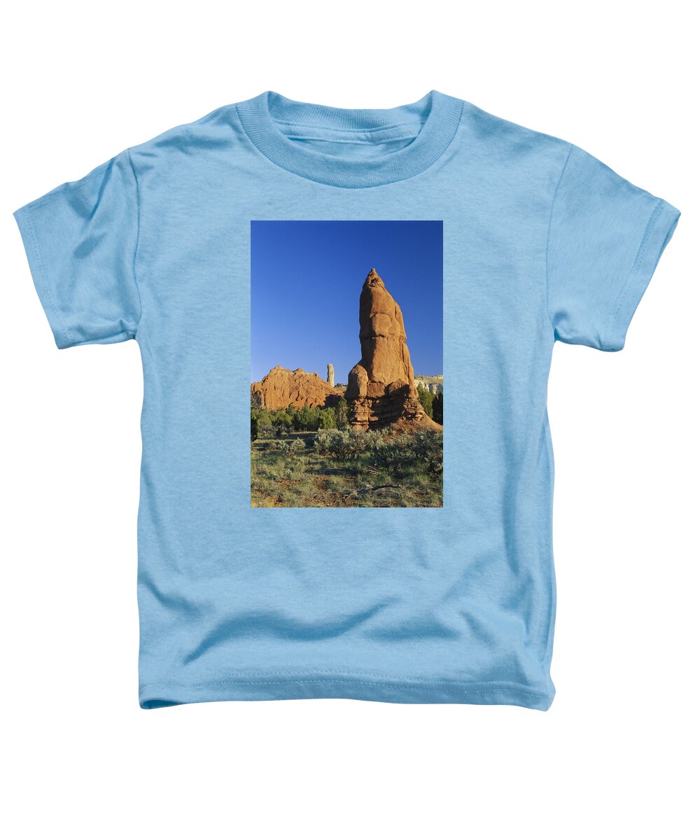 1997 Toddler T-Shirt featuring the photograph Geyser Remnant, Kodachrome Basin, Utah #1 by James Steinberg