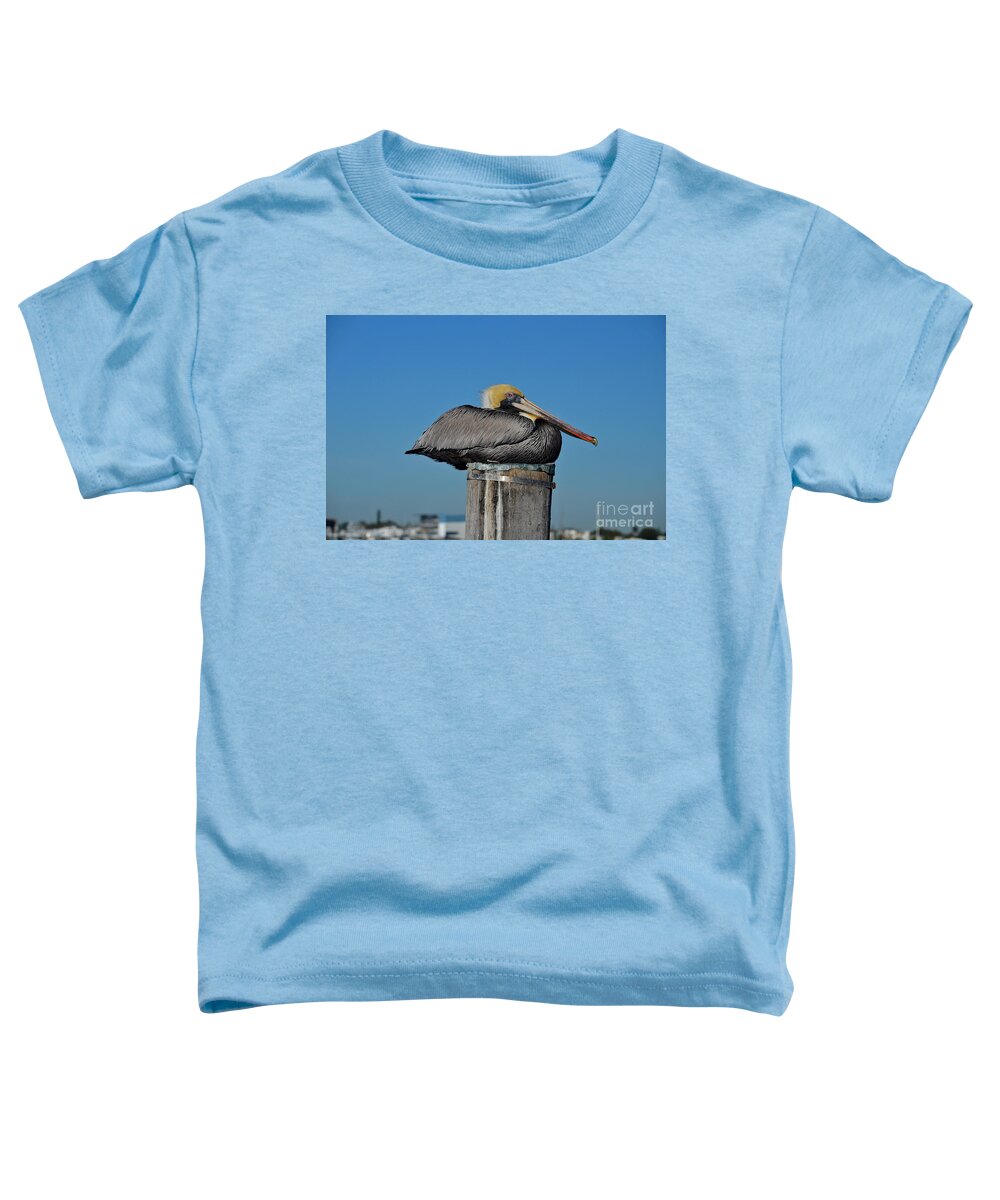 Pelican Toddler T-Shirt featuring the photograph 18- Brown Pelican by Joseph Keane