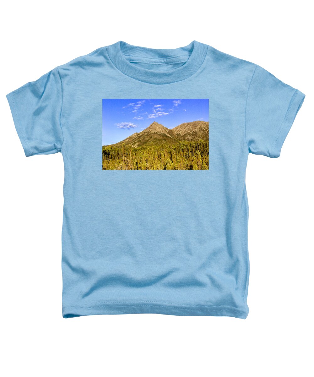 Trees Toddler T-Shirt featuring the photograph Alaska Mountains #2 by Chad Dutson