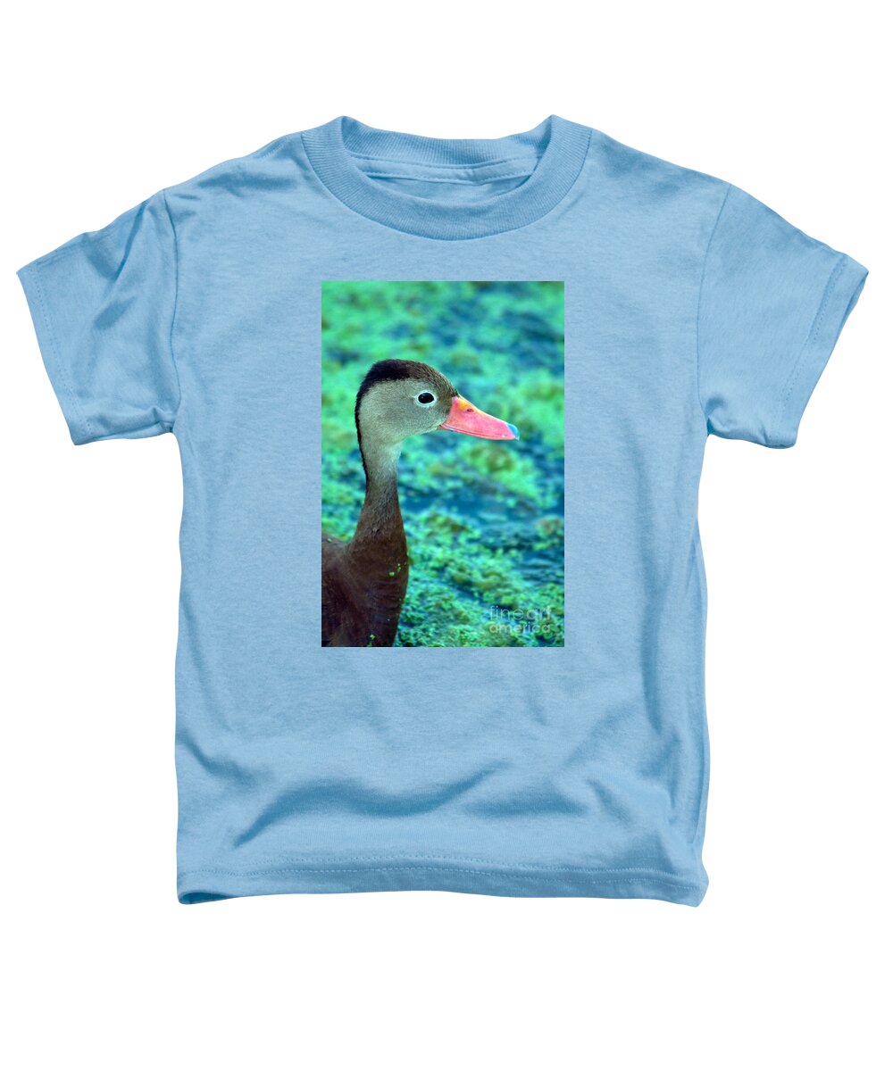 Nature Toddler T-Shirt featuring the photograph Black-bellied Whistling-duck #2 by Mark Newman