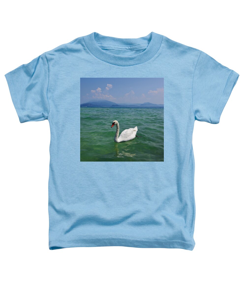 Cygnus Olor Toddler T-Shirt featuring the photograph Mute swan. Sirmione. Lago di Garda #4 by Jouko Lehto