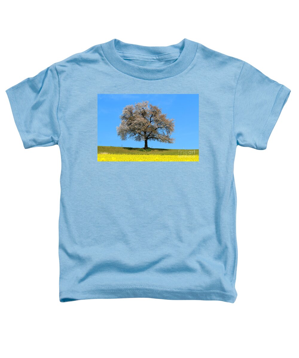  Agriculture Toddler T-Shirt featuring the photograph A blooming lone Tree in Spring with canolas in front 2 by Amanda Mohler