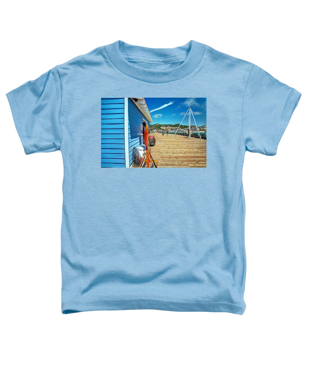 Pier Toddler T-Shirt featuring the photograph Beach Rental by Richard Gehlbach