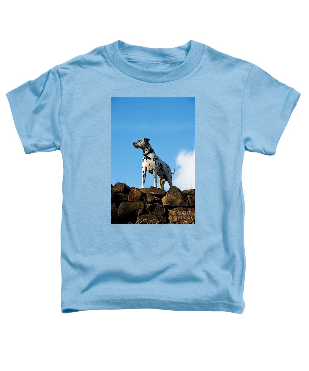 Stuart Media Servces Toddler T-Shirt featuring the photograph Beau the Explorer by Blair Stuart