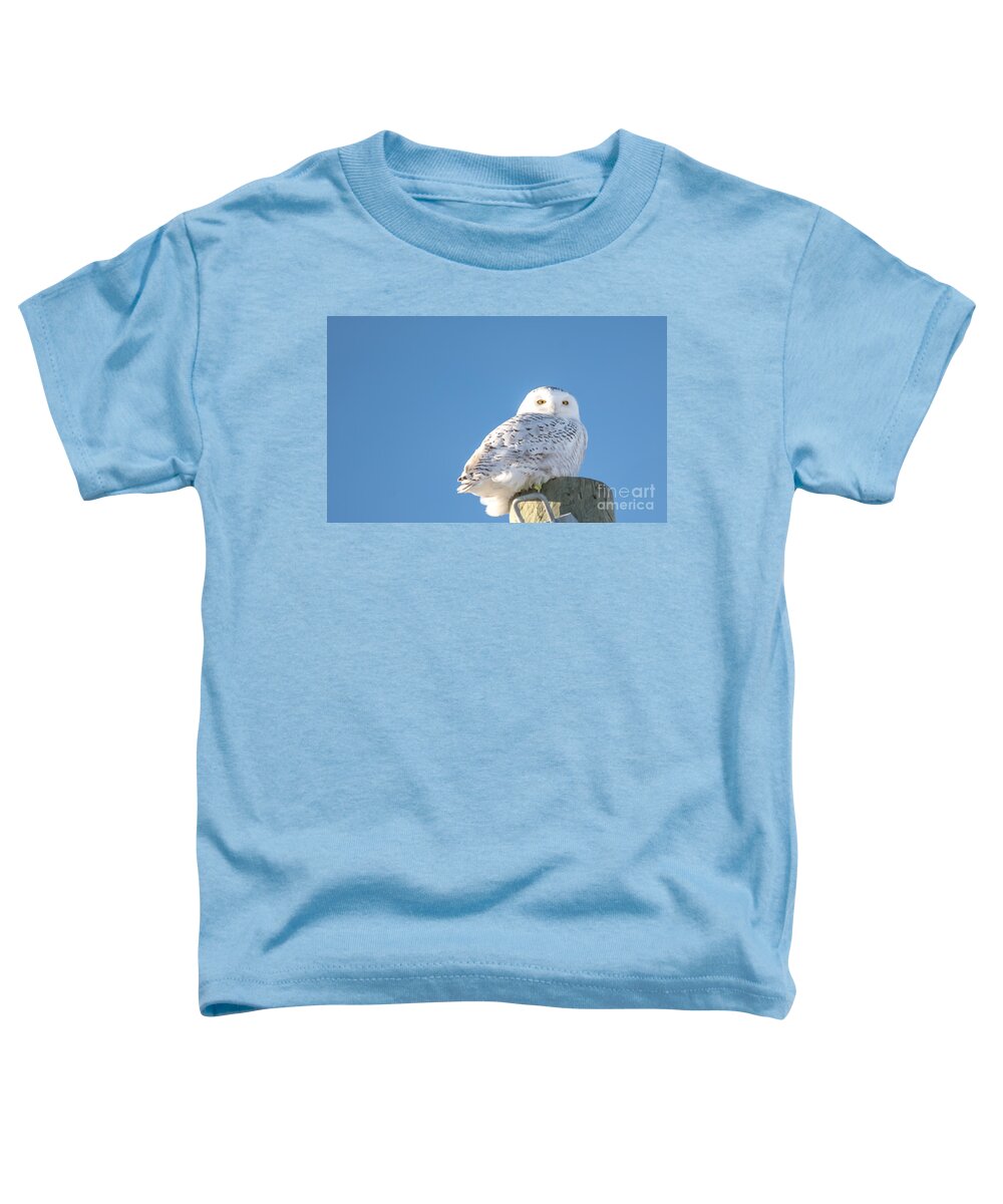 Field Toddler T-Shirt featuring the photograph Blue Sky Snowy by Cheryl Baxter