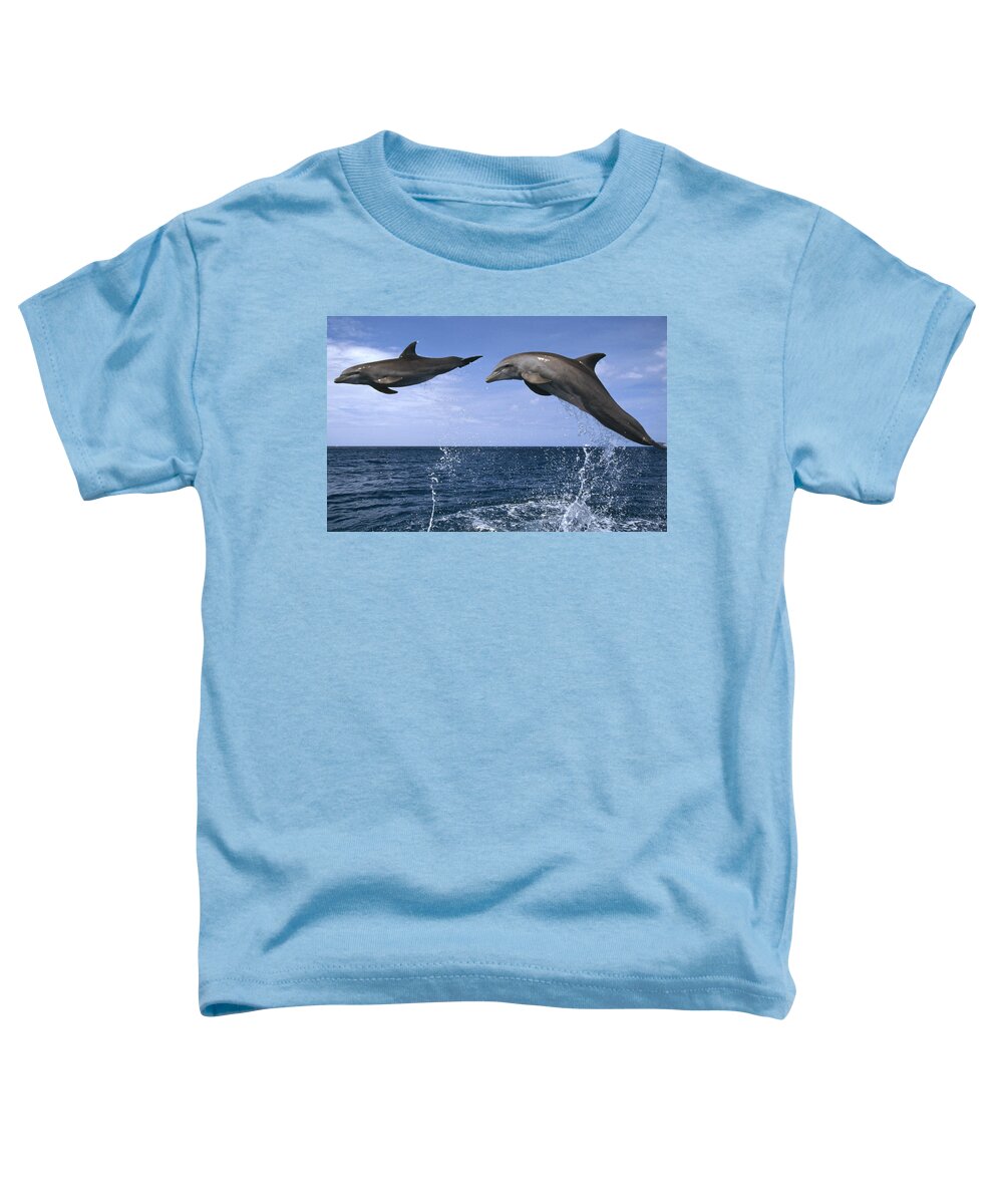 Feb0514 Toddler T-Shirt featuring the photograph Bottlenose Dolphins Leaping Honduras by Konrad Wothe