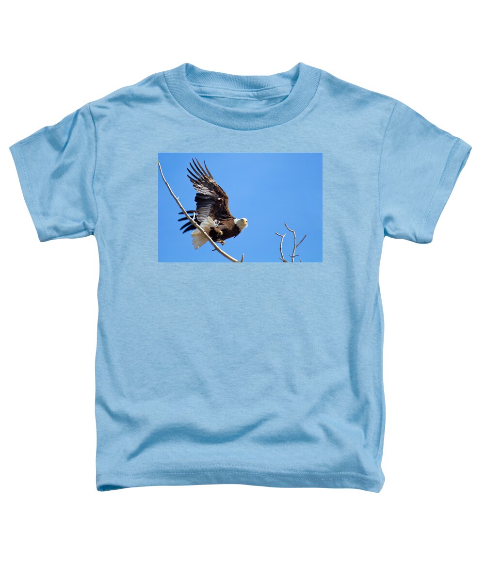 Soaring Toddler T-Shirt featuring the photograph Eye of the Eagle by Jim Garrison