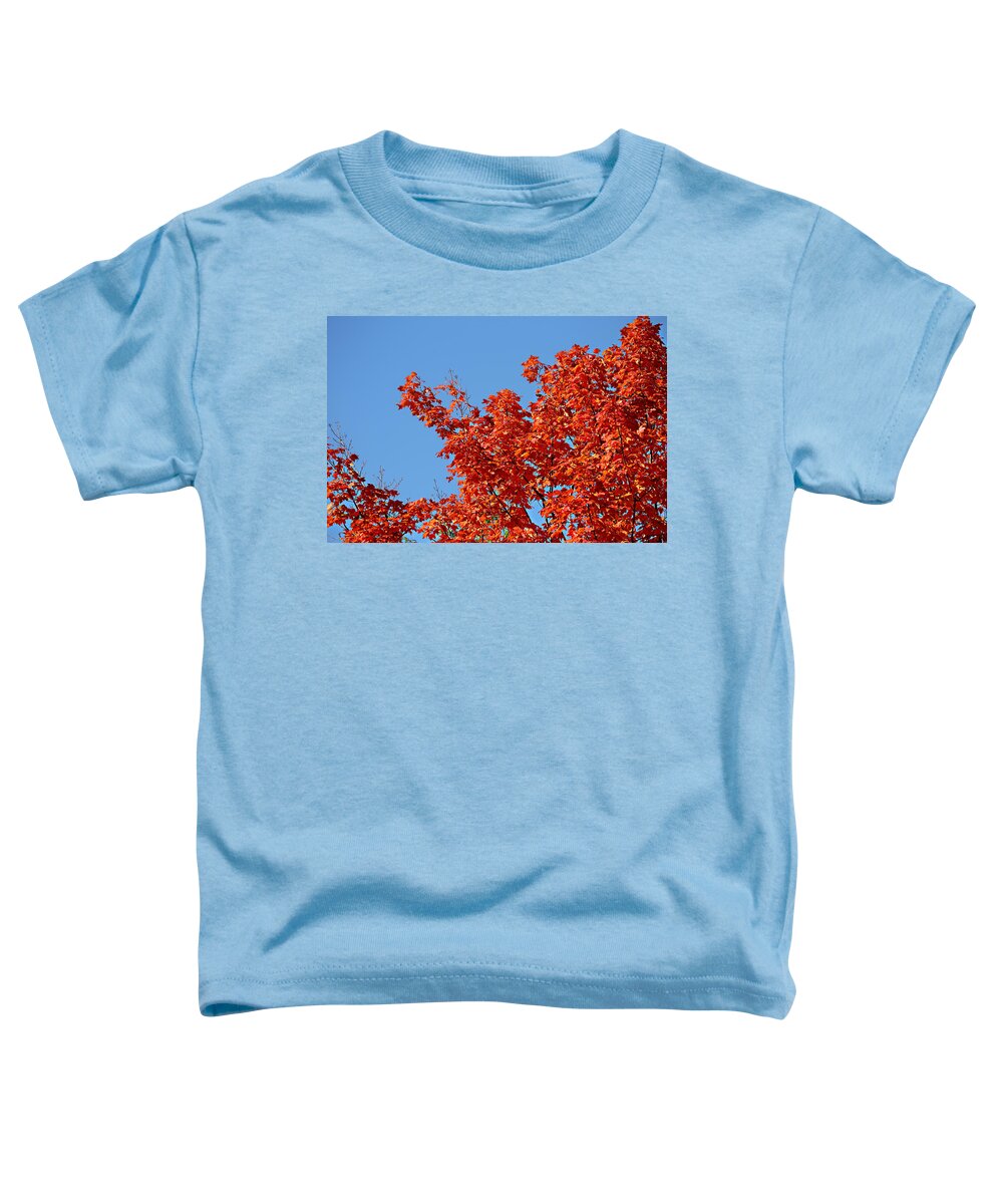Autumn Toddler T-Shirt featuring the photograph Fall Foliage Colors 20 by Metro DC Photography