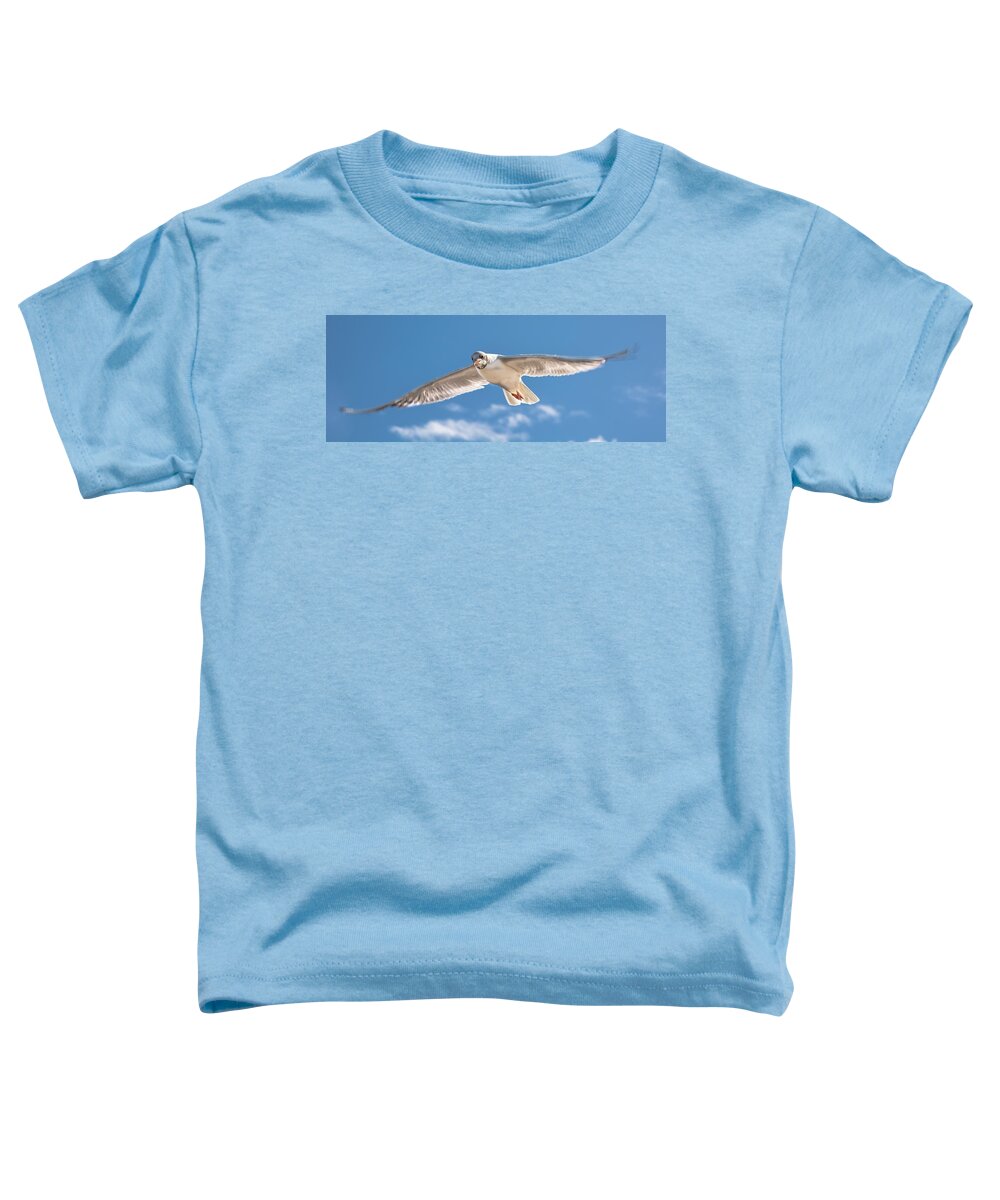 Bird Toddler T-Shirt featuring the photograph Feel the Freedom by Andreas Berthold