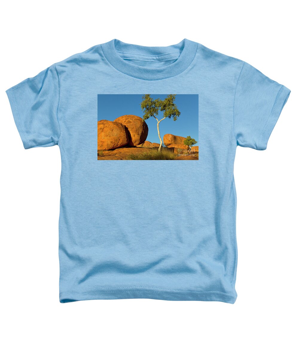 00477478 Toddler T-Shirt featuring the photograph Trees and Devils Marbles by Yva Momatiuk John Eastcott