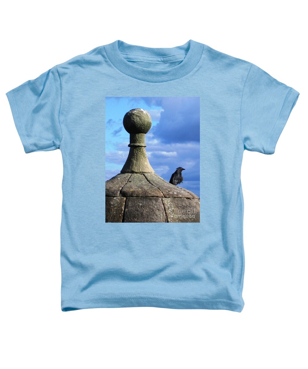 Architecture Toddler T-Shirt featuring the photograph He Has An Accent by Denise Railey