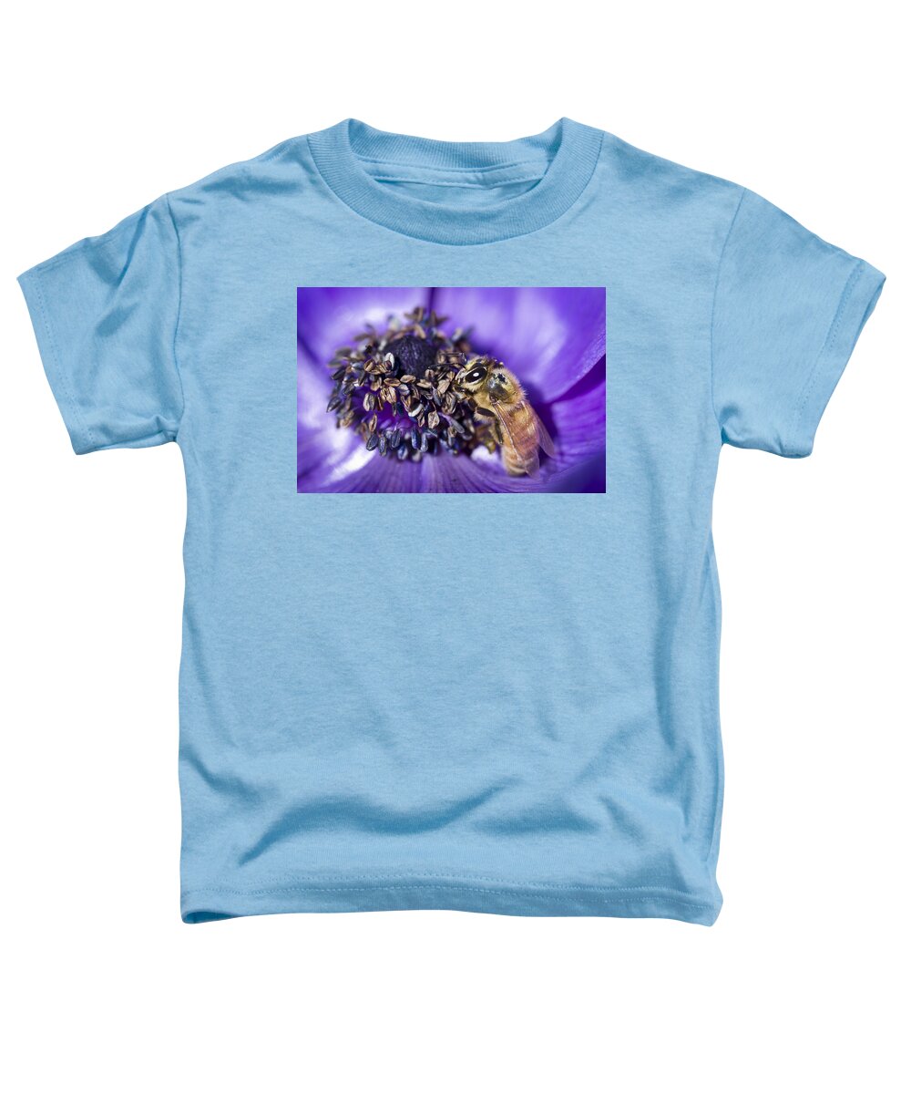 Anemone Toddler T-Shirt featuring the photograph Honeybee And Anemone by Priya Ghose