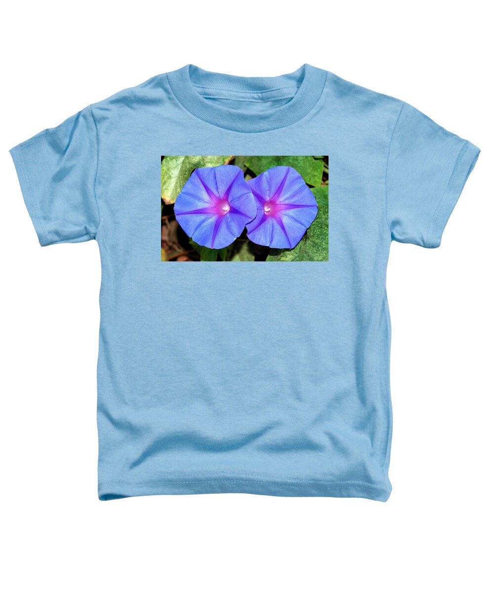 Morning Glory Toddler T-Shirt featuring the photograph Ipomoea Purple Flowers by Taiche Acrylic Art