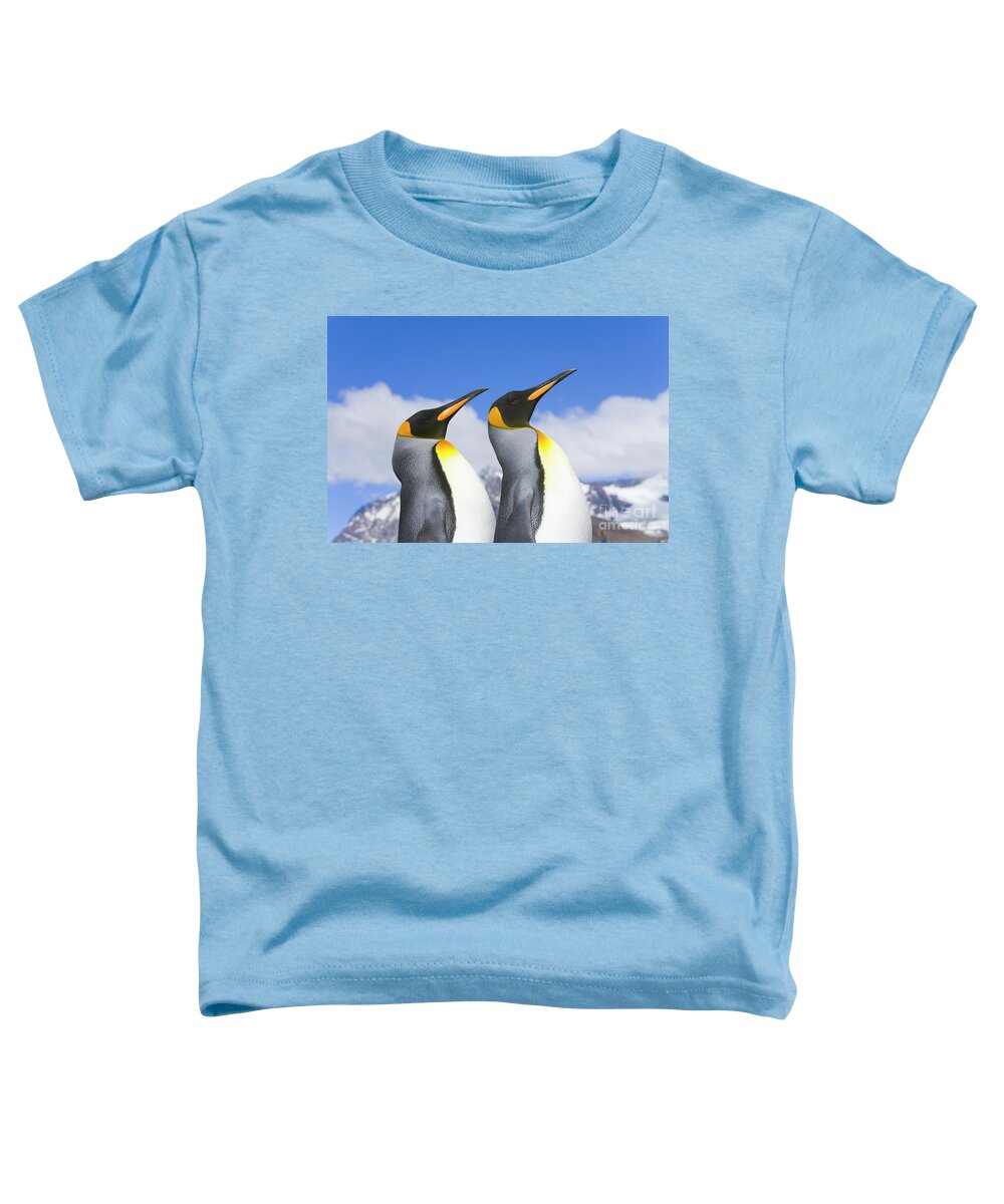 00345339 Toddler T-Shirt featuring the photograph King Penguin Duo by Yva Momatiuk John Eastcott