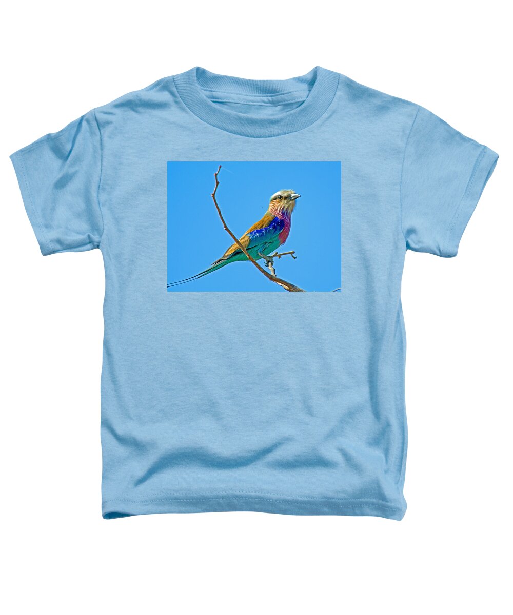 Lilac-breasted Roller In Kruger National Park Toddler T-Shirt featuring the photograph Lilac-breasted Roller in Kruger National Park-South Africa by Ruth Hager