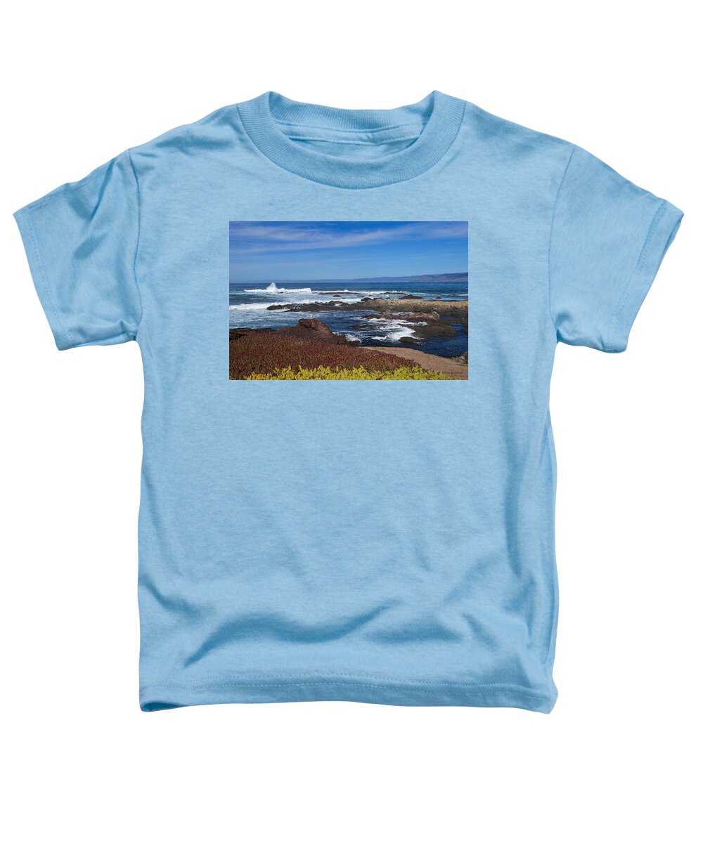 Ocean Toddler T-Shirt featuring the photograph Lonesome Gull by Donna Blackhall