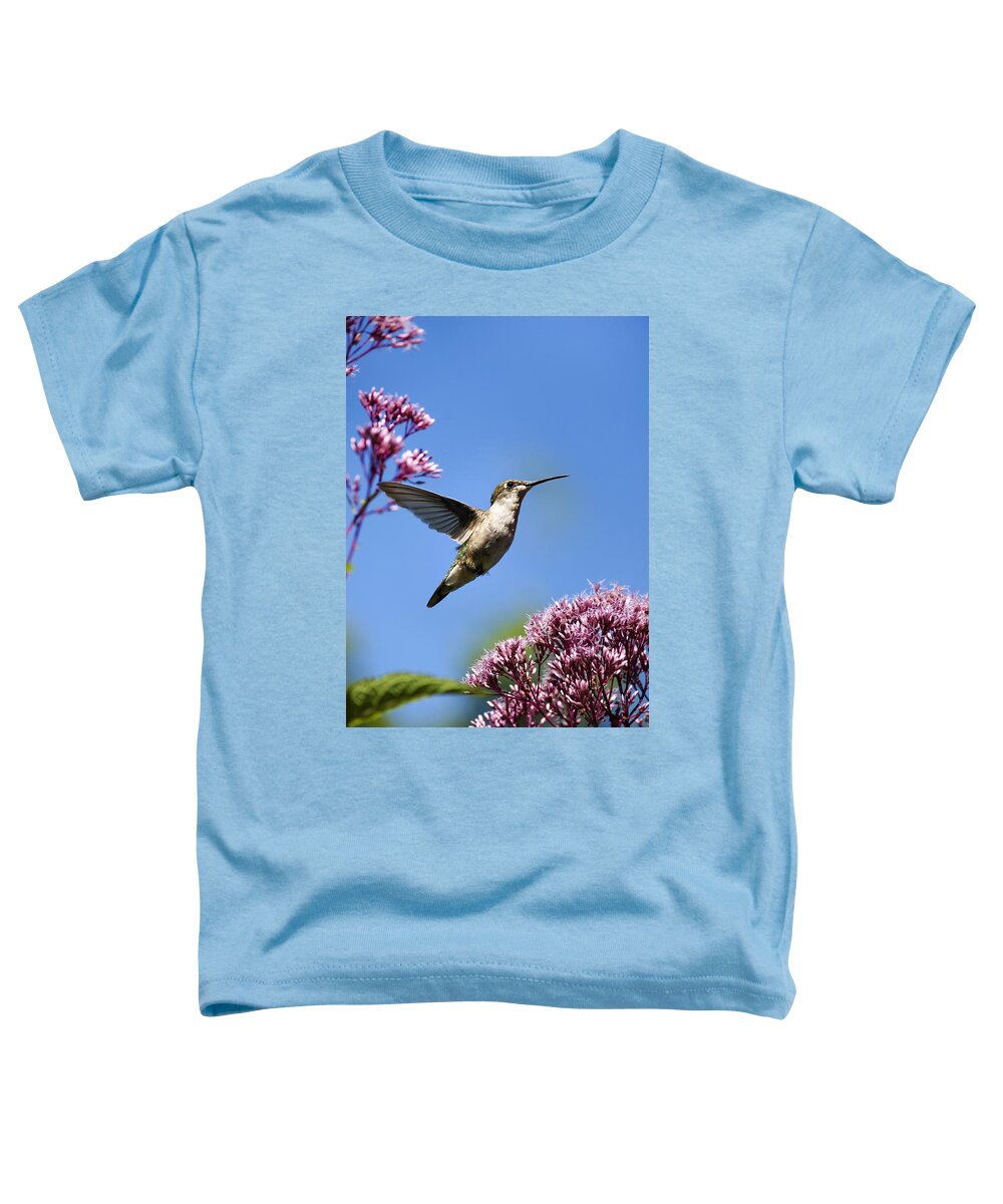 Hummingbird Toddler T-Shirt featuring the photograph Modern Beauty by Christina Rollo