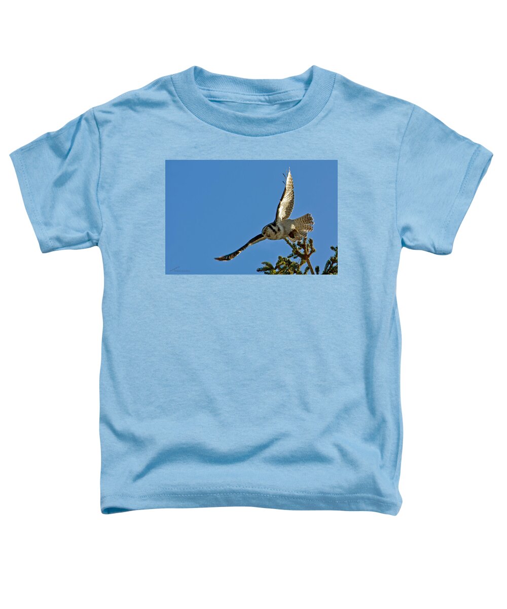 Northern Hawk Owl Toddler T-Shirt featuring the photograph Northern Hawk Owl flying with its capture by Torbjorn Swenelius