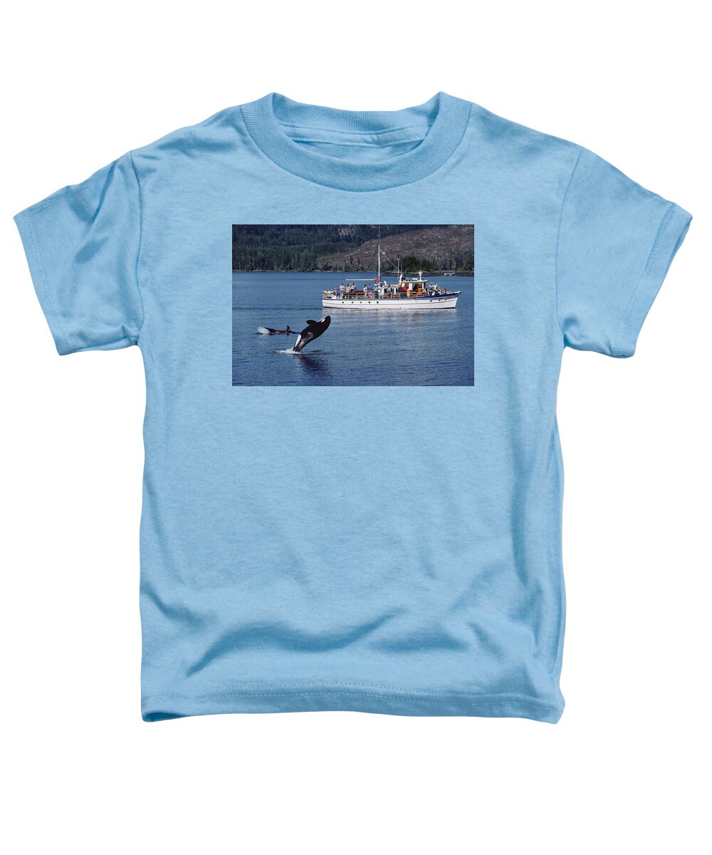 Feb0514 Toddler T-Shirt featuring the photograph Orca Leaping And Whale Watchers by Flip Nicklin