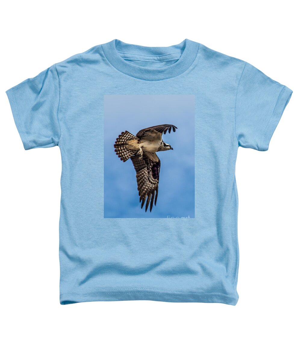 Osprey Toddler T-Shirt featuring the photograph Osprey Flying Away by Robert Bales