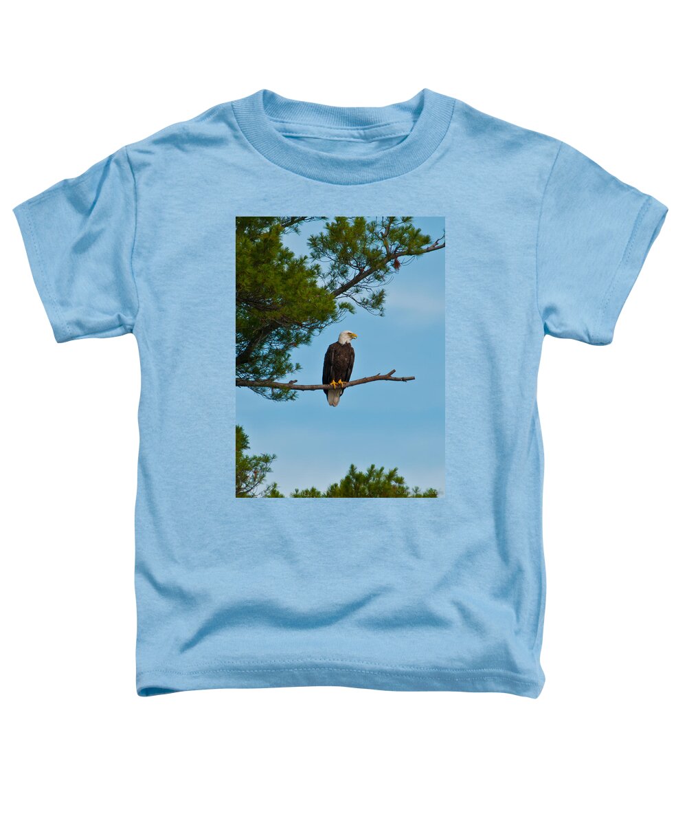 Bald Eagle Toddler T-Shirt featuring the photograph Out on a Limb by Brenda Jacobs