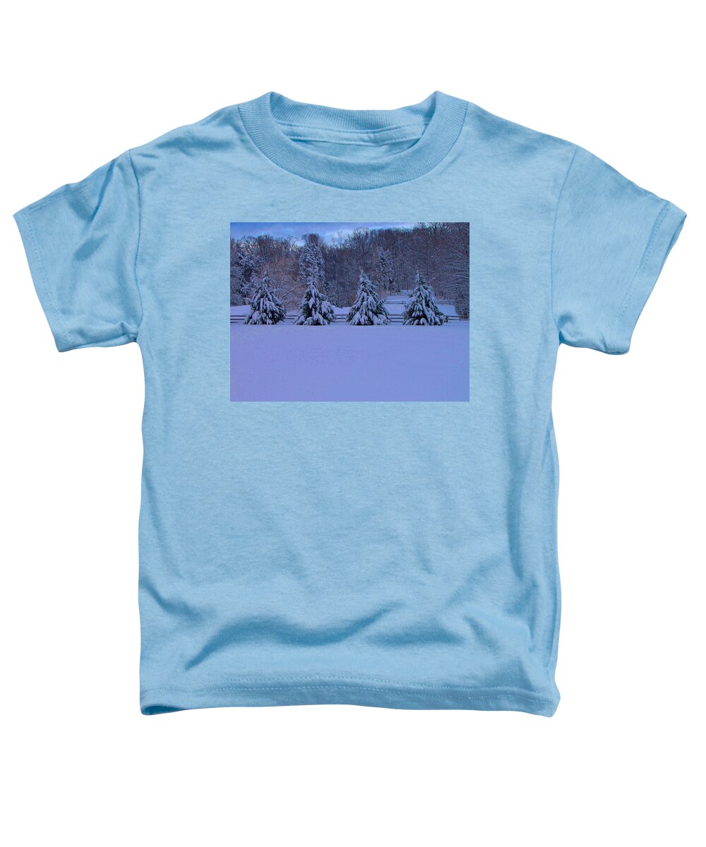 Pennsylvania Toddler T-Shirt featuring the photograph Pennsylvania Snowy Wonderland by David Dehner