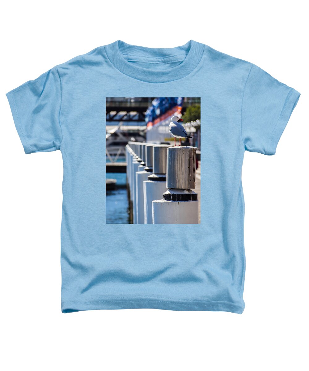 Seagull Toddler T-Shirt featuring the photograph Perched by Kaleidoscopik Photography