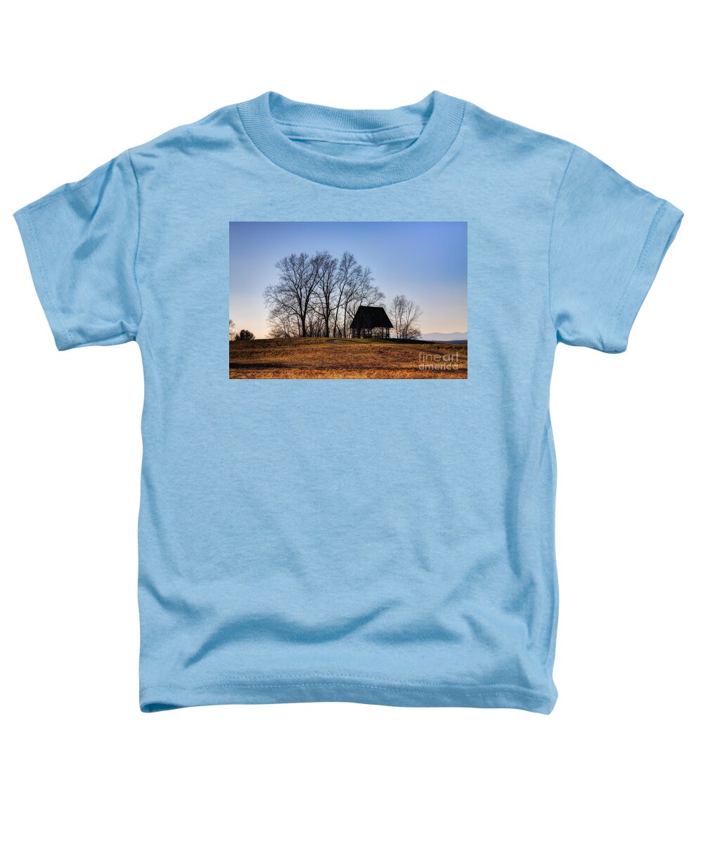 Poets' Walk Toddler T-Shirt featuring the photograph Poets' Walk by Rick Kuperberg Sr