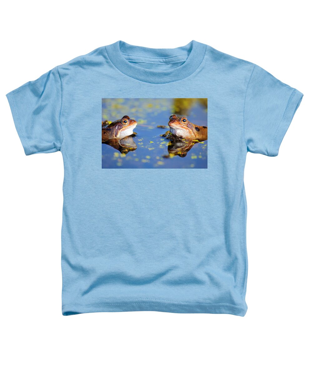 Frog Toddler T-Shirt featuring the photograph Reflections by Chris Smith