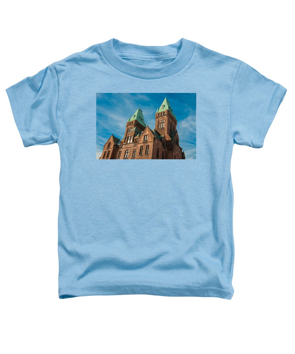 Buffalo Toddler T-Shirt featuring the photograph Richardson Complex 3D21972 by Guy Whiteley