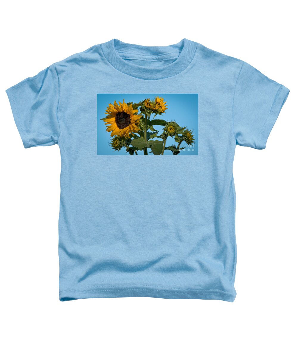 Sunflower Toddler T-Shirt featuring the photograph Sunflower Morning by Cheryl Baxter