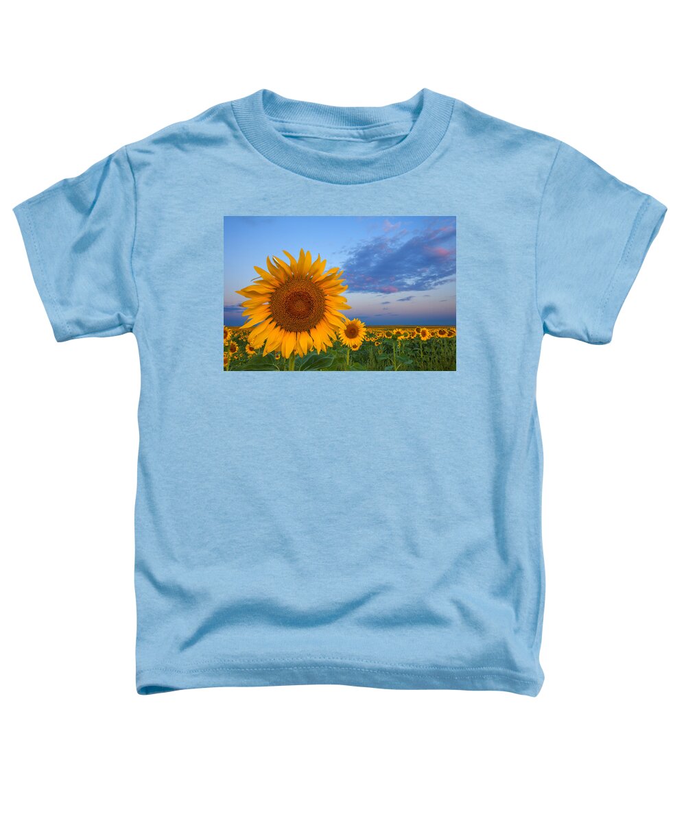 Sunflowers Toddler T-Shirt featuring the photograph Sunny Side Up by Darren White