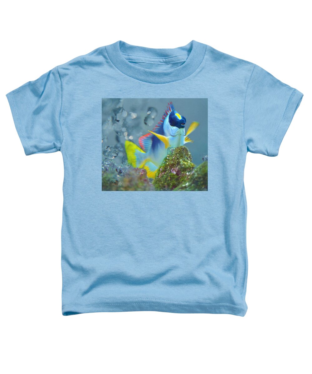 Fish Toddler T-Shirt featuring the photograph Swimming In A Crystal Sea by Sandi OReilly