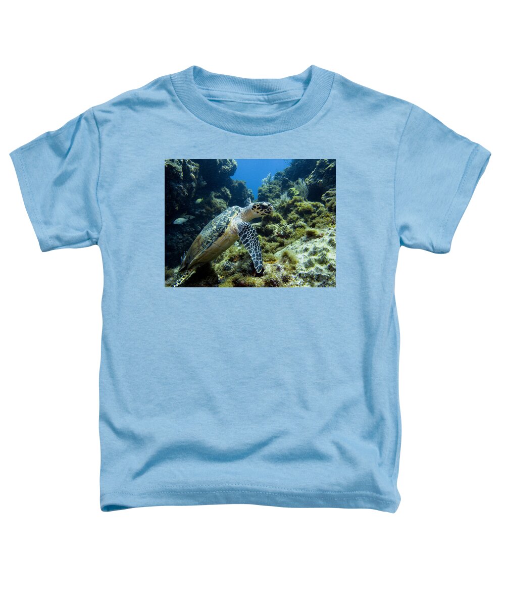 Caribbean Toddler T-Shirt featuring the photograph Swimming with a sea turtle by Matt Swinden