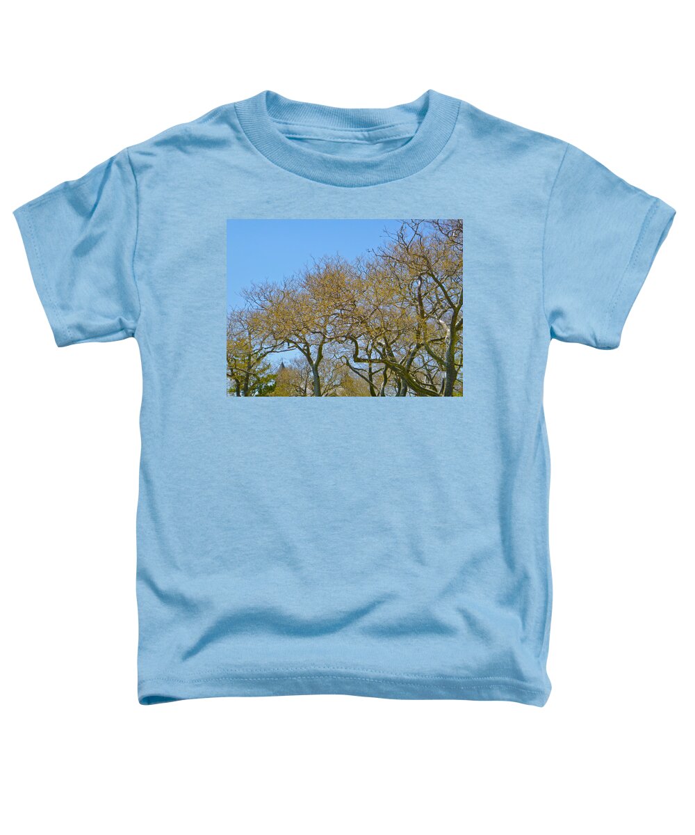 Trees Toddler T-Shirt featuring the photograph Sycamores in spring by Ellen Paull