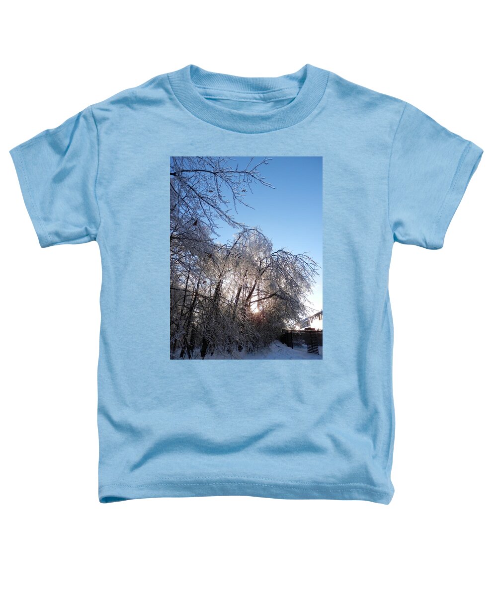 Winter Toddler T-Shirt featuring the photograph Winter's Grip 1 by Pema Hou
