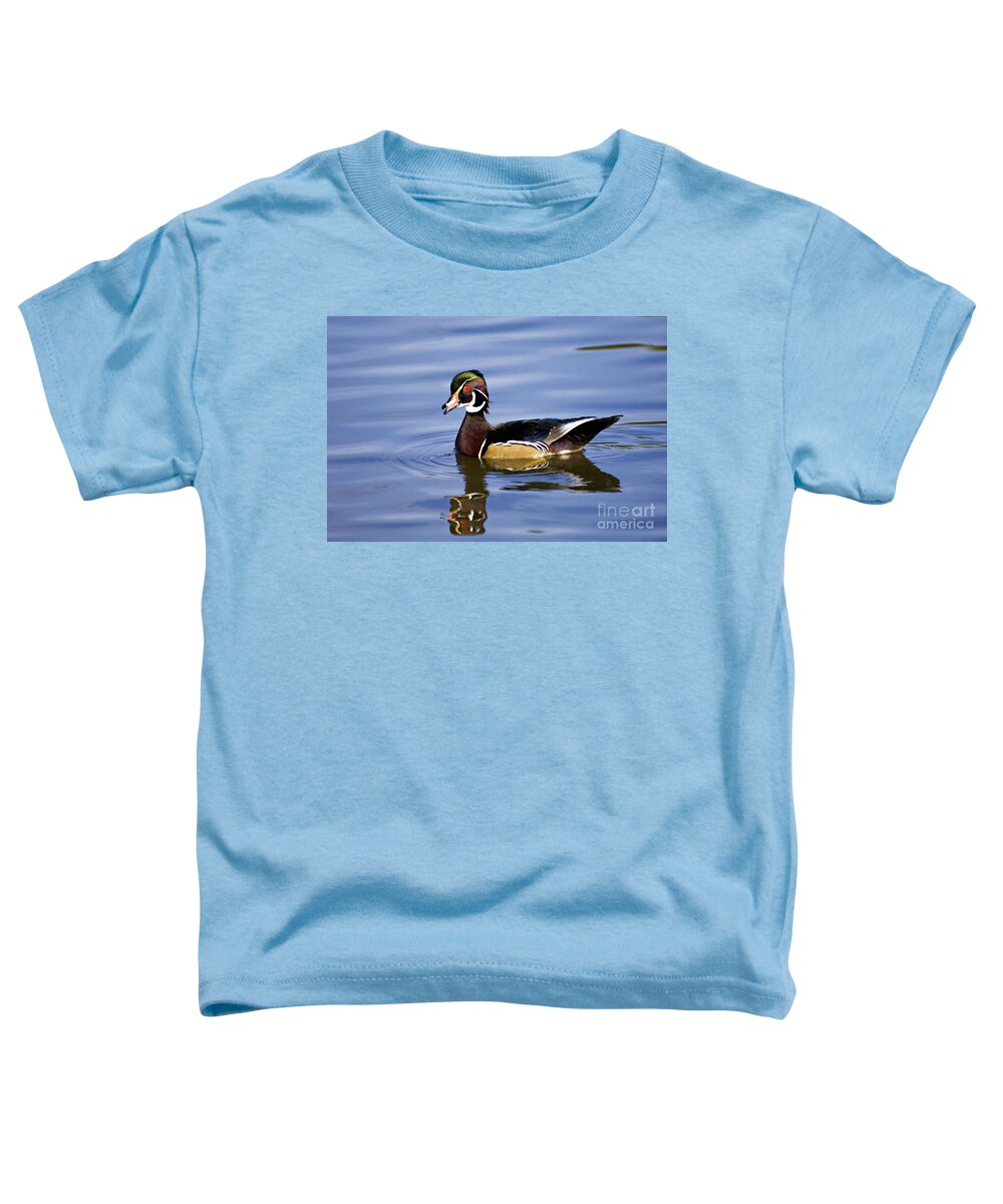 Wood Toddler T-Shirt featuring the photograph Wood Duck - D008582 by Daniel Dempster