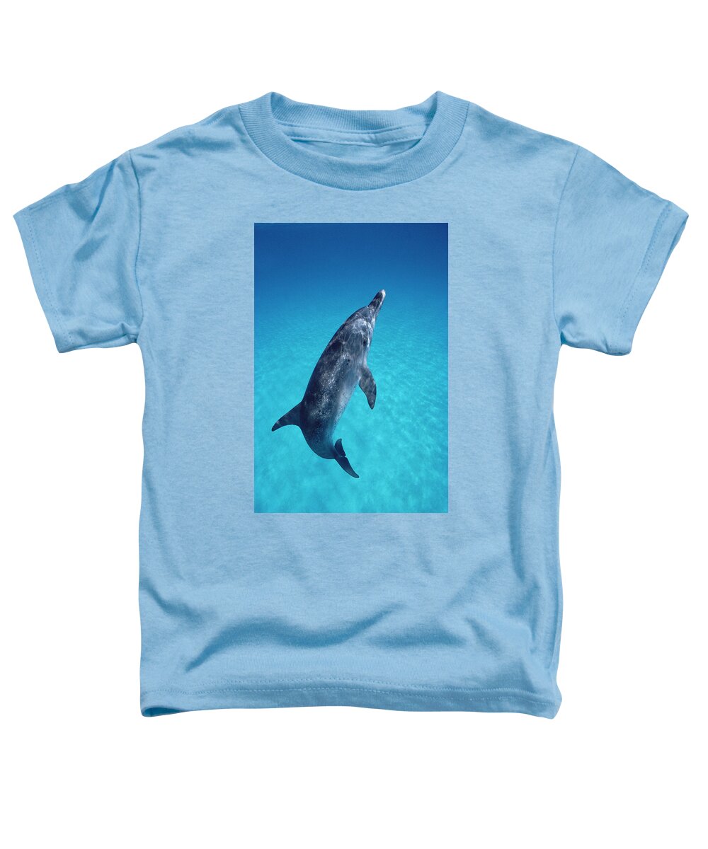 00086967 Toddler T-Shirt featuring the photograph Atlantic Spotted Dolphin Portrait #1 by Flip Nicklin