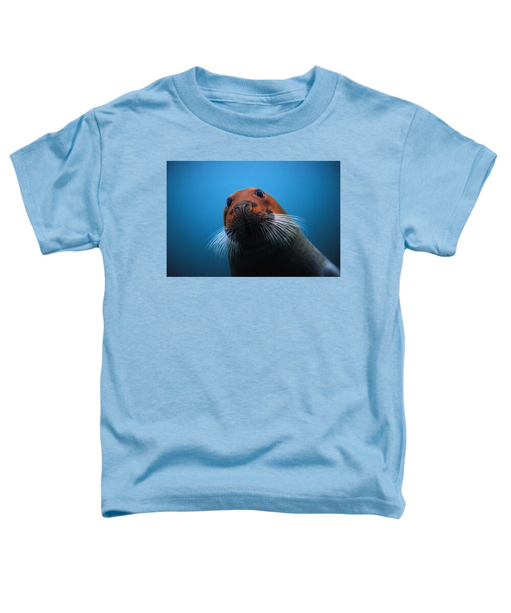 00123496 Toddler T-Shirt featuring the photograph Bearded Seal With Head Stained Red by Flip Nicklin