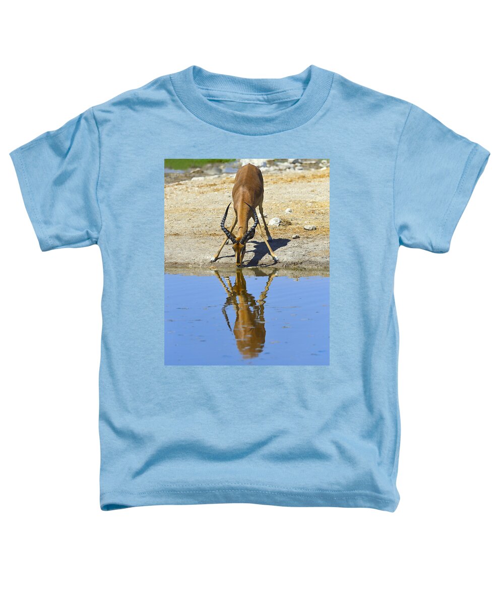 Impala Toddler T-Shirt featuring the photograph Black-faced Impala by Tony Beck