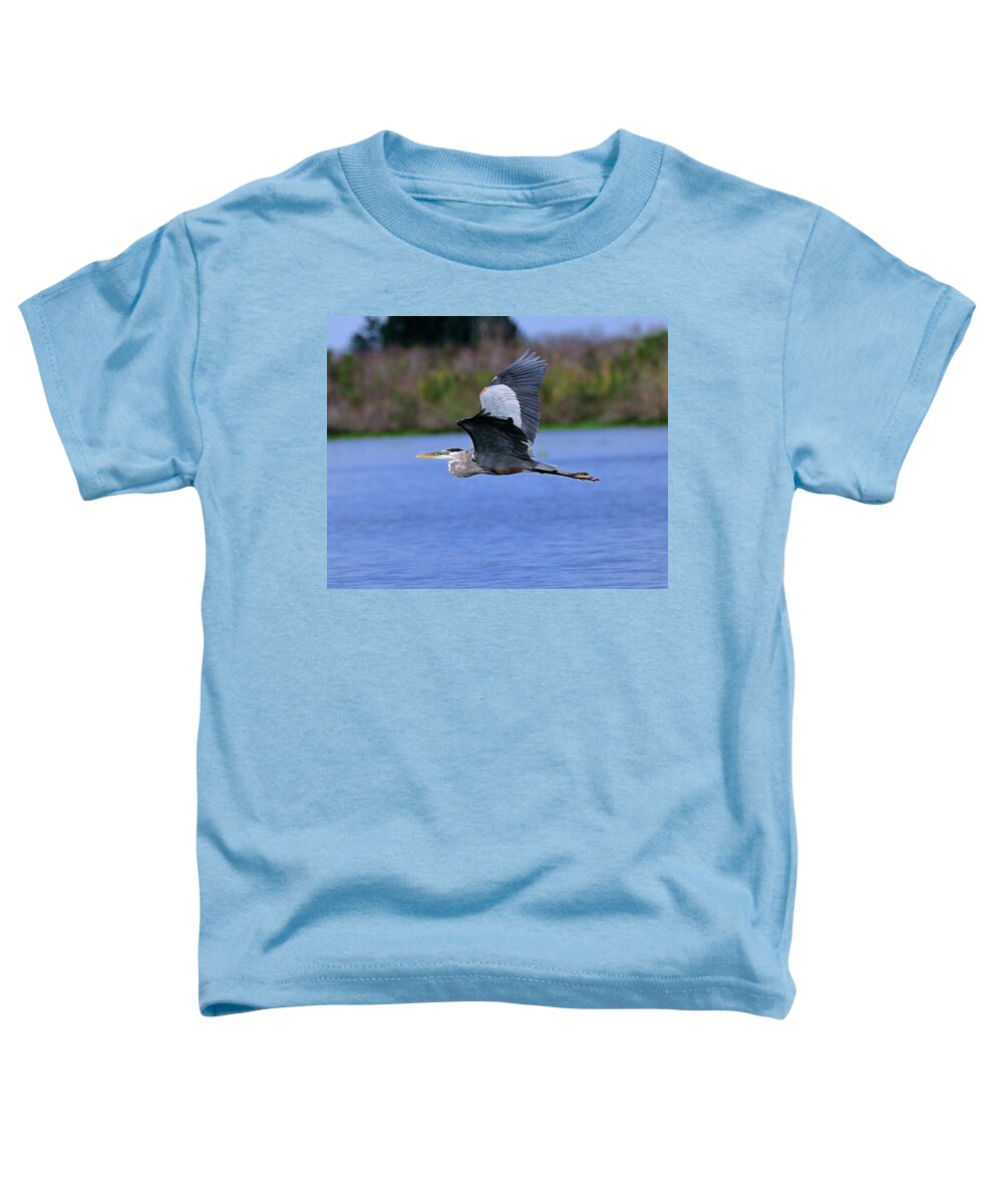 Great Toddler T-Shirt featuring the photograph Great Blue inflight by Bill Dodsworth