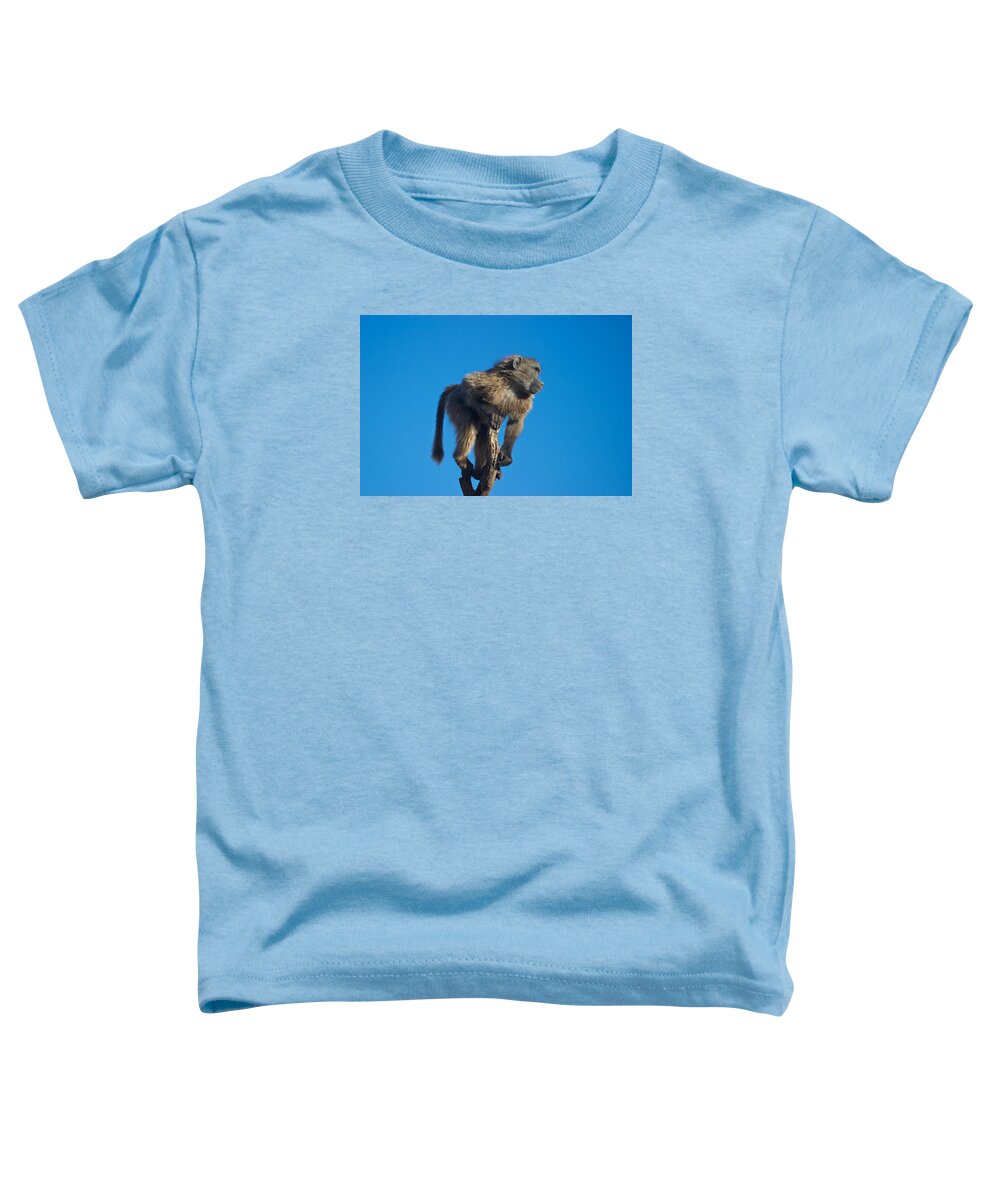 Baboon Toddler T-Shirt featuring the photograph Sentry Baboon Namibia by David Kleinsasser