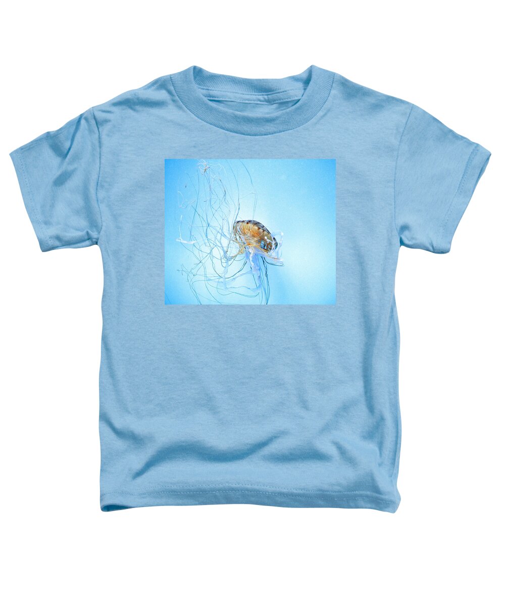 Pacific Sea Nettle Toddler T-Shirt featuring the photograph Jellyfish #1 by Marianna Mills