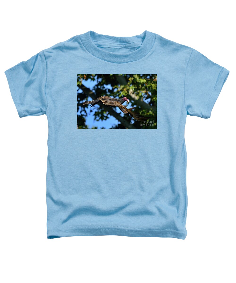 Bird Toddler T-Shirt featuring the photograph Turkey Vulture #1 by Marc Bittan