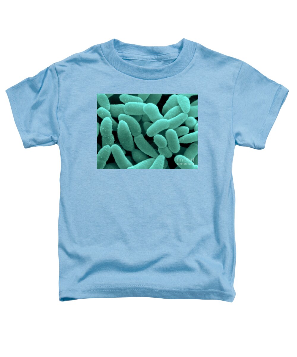 Acetobacter Toddler T-Shirt featuring the photograph Acetobacter Aceti Bacteria #2 by Scimat